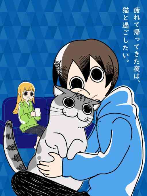 《关于养猫我一直是新手》免费在线播放｜日本动画动漫